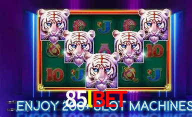 85lbet
